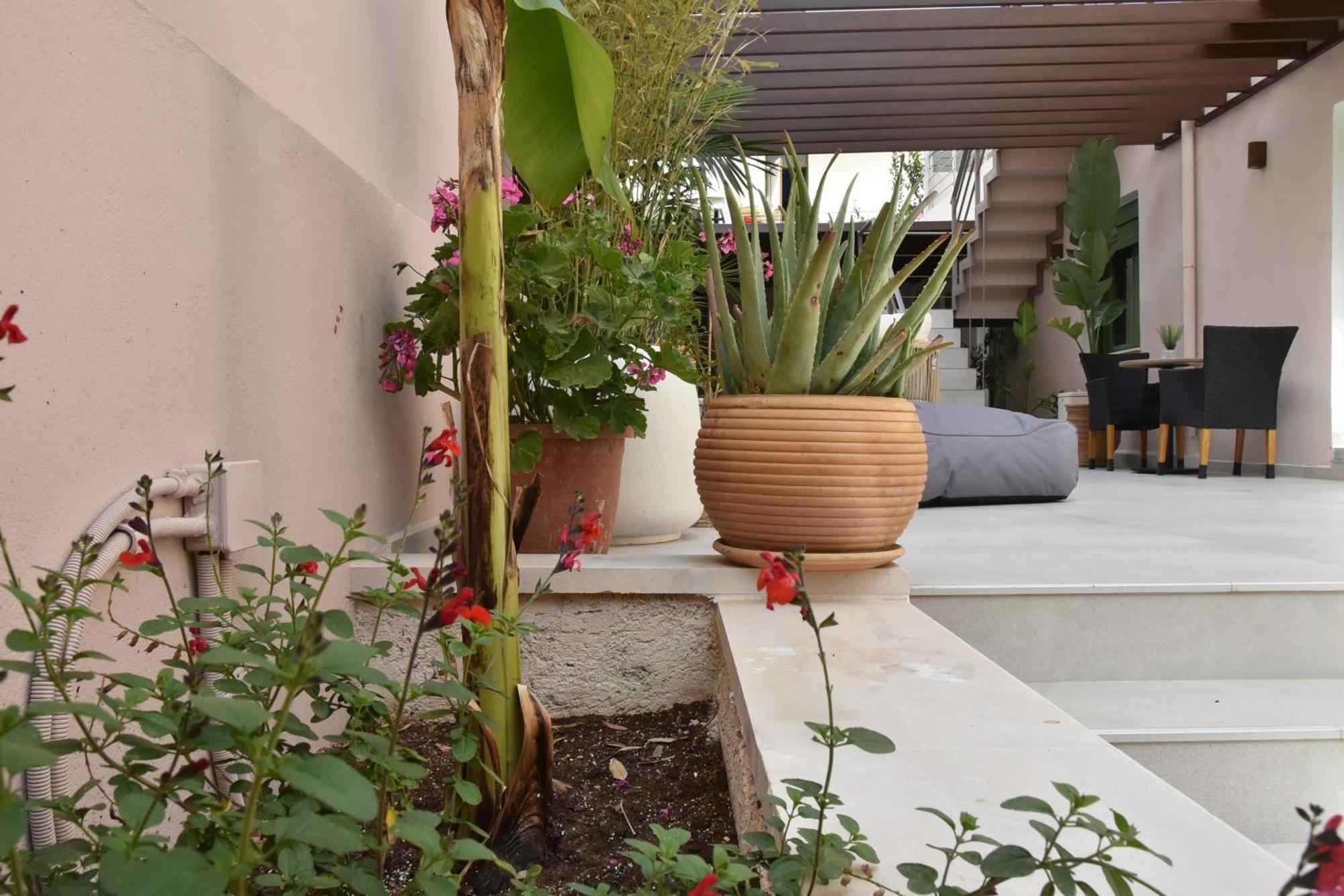 Casa Enetiko Hotel Chania  Exterior foto